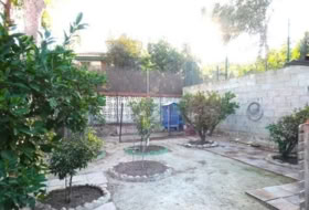Foto 15