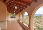 Casa de camp amb terreny en venda a la España, Novelda, ref.: TR409858 foto
