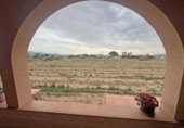 Casa de camp amb terreny en venda a la España, Novelda, ref.: TR409858 foto