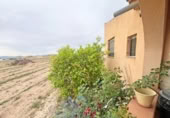 Casa de camp amb terreny en venda a la España, Novelda, ref.: TR409858 foto