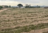 Casa de camp amb terreny en venda a la España, Novelda, ref.: TR409858 foto