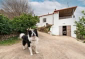 Xalet independent amb terreny en venda a la España, Canjáyar, ref.: TR409867 foto