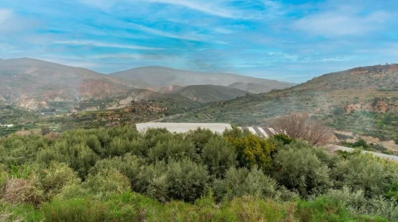 Almería - Canjáyar - 17571m2