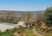 Xalet independent amb terreny en venda a la España, Canjáyar, ref.: TR409867 foto
