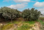 Xalet independent amb terreny en venda a la España, Canjáyar, ref.: TR409867 foto
