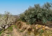 Xalet independent amb terreny en venda a la España, Canjáyar, ref.: TR409867 foto