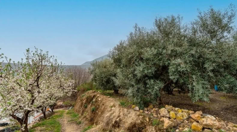 Almería - Canjáyar - 17571m2