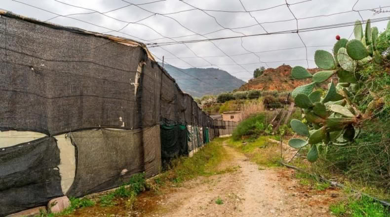 Almería - Canjáyar - 17571m2