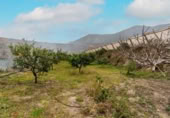 Xalet independent amb terreny en venda a la España, Canjáyar, ref.: TR409867 foto