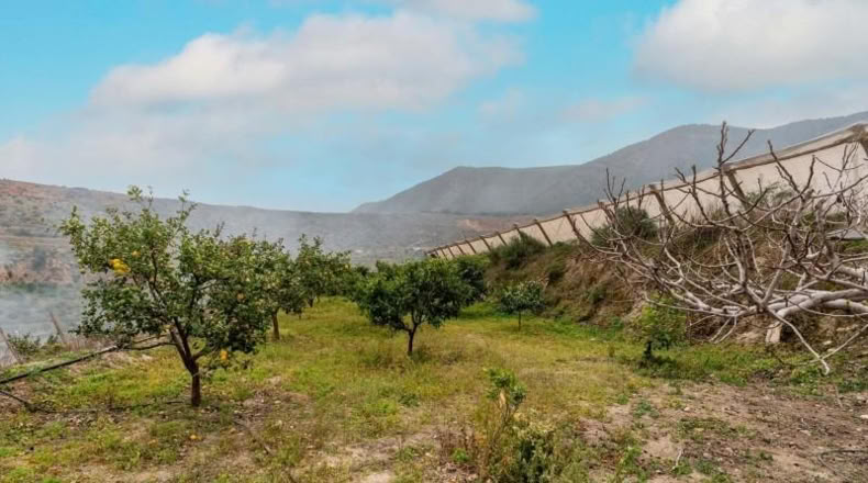 Almería - Canjáyar - 17571m2