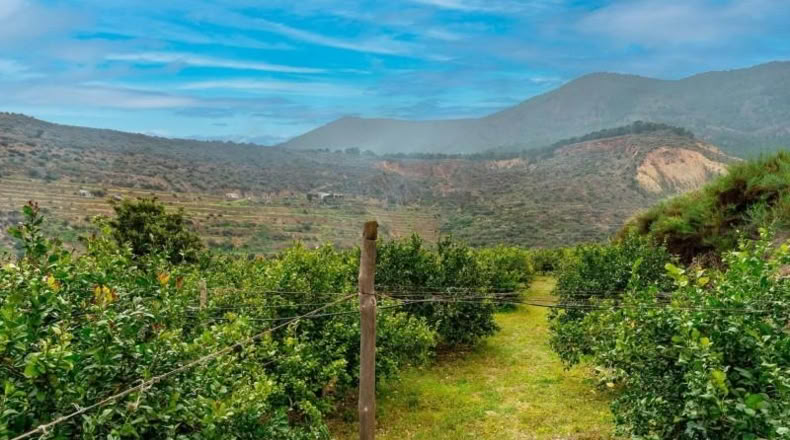 Almería - Canjáyar - 17571m2