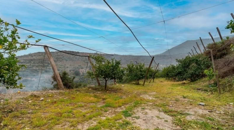Almería - Canjáyar - 17571m2