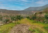 Xalet independent amb terreny en venda a la España, Canjáyar, ref.: TR409867 foto