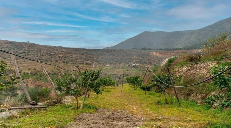Almería - Canjáyar - 17571m2