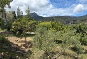 Puigpunyent 508&nbsp;м²