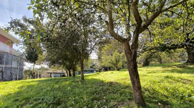 Asturias - Villabona - 1800m2