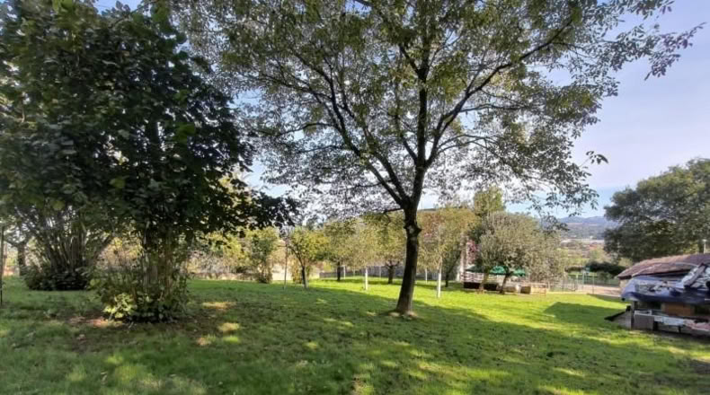 Asturias - Villabona - 1800m2
