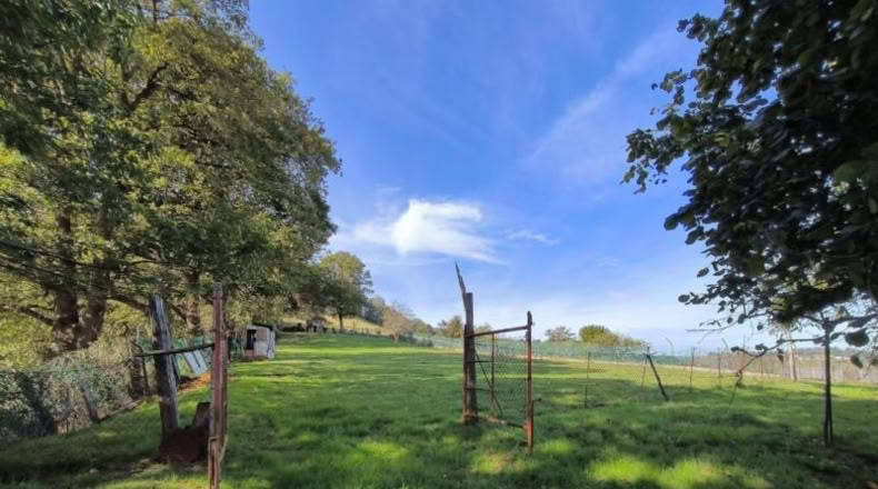 Asturias - Villabona - 1800m2