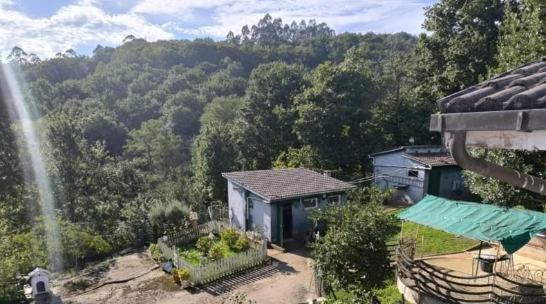 Asturias - Villabona - 1800m2