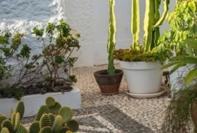 Marbella 60&nbsp;m² 