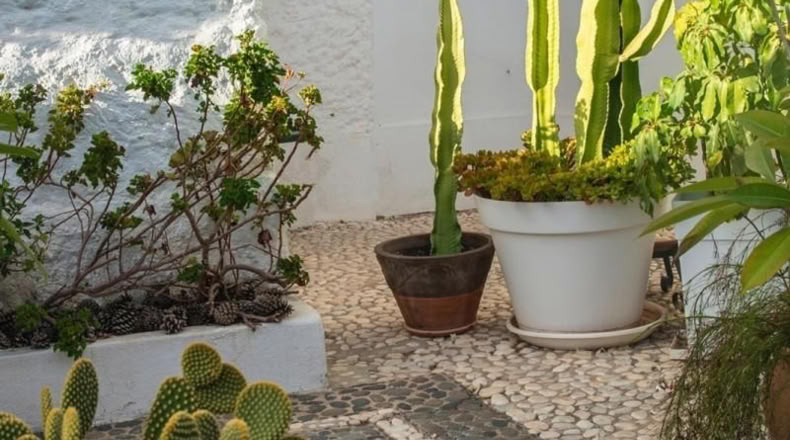 Малага - Marbella - 60m2