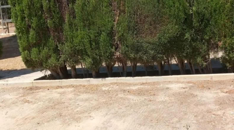 Castellón - Borriana - 2000m2