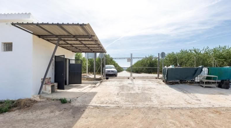 Granada - Pinos Puente - 30000m2
