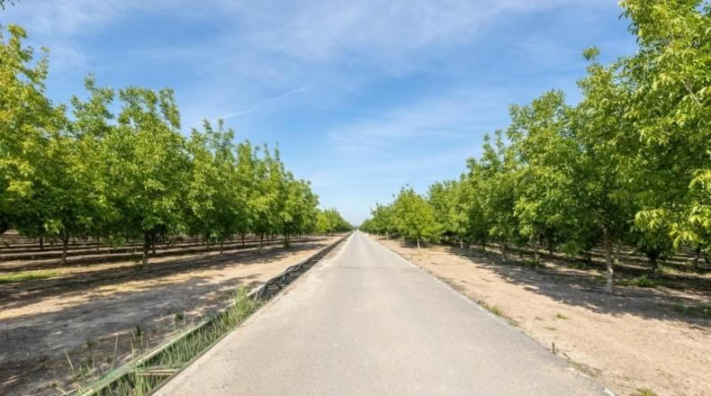 Granada - Pinos Puente - 30000m2