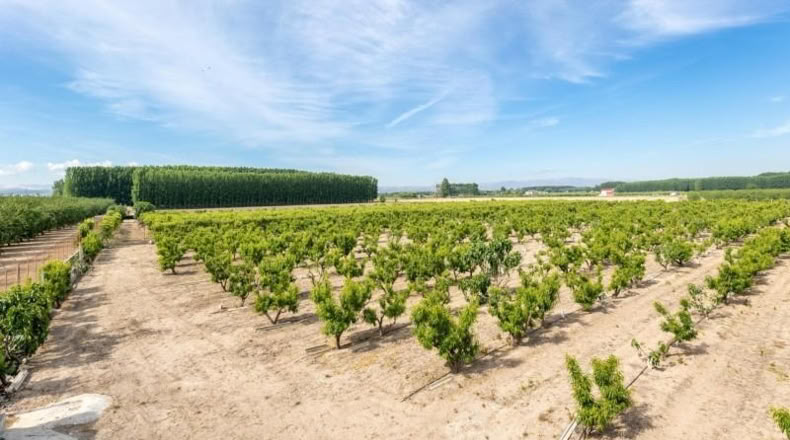 Granada - Pinos Puente - 30000m2