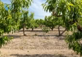 Detached villa with land for sale on España, Pinos Puente, ref: TR409919 photo