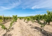 Detached villa with land for sale on España, Pinos Puente, ref: TR409919 photo
