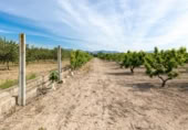 Detached villa with land for sale on España, Pinos Puente, ref: TR409919 photo