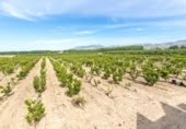 Detached villa with land for sale on España, Pinos Puente, ref: TR409919 photo