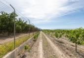 Detached villa with land for sale on España, Pinos Puente, ref: TR409919 photo