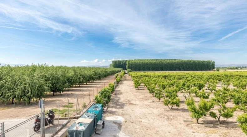 Granada - Pinos Puente - 30000m2