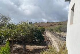 Granadilla de Abona 4387&nbsp;м²