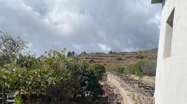 Santa Cruz de Tenerife - Granadilla de Abona - 4387m2