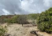 Chalet independiente con terreno en venta en la España, Granadilla de Abona, ref: TR409936 foto