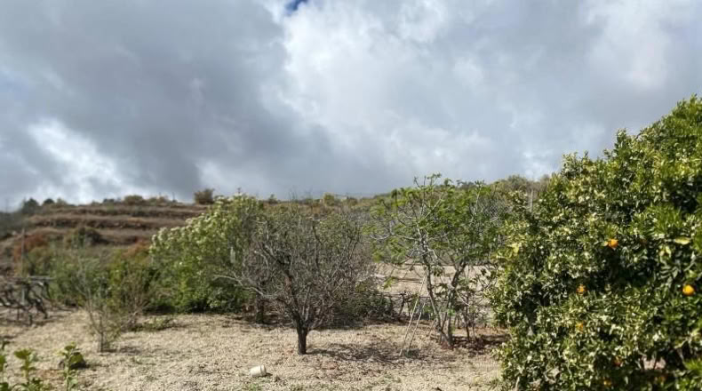 Santa Cruz de Tenerife - Granadilla de Abona - 4387m2