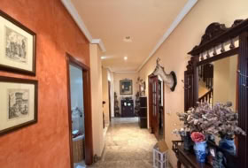 Antequera 305&nbsp;m²