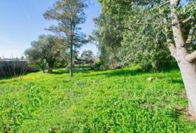Carmona 447&nbsp;м²