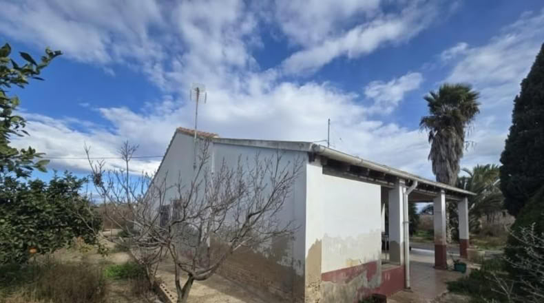 Alicante - Elche - 21880m2