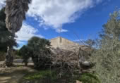 Xalet independent amb terreny en venda a la España, Elx, ref.: TR399451 foto