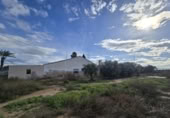 Xalet independent amb terreny en venda a la España, Elx, ref.: TR399451 foto