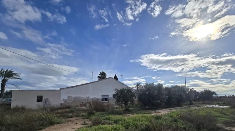 Alicante - Elche - 21880m2