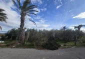 Xalet independent amb terreny en venda a la España, Elx, ref.: TR399451 foto