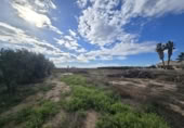 Xalet independent amb terreny en venda a la España, Elx, ref.: TR399451 foto