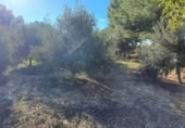 Casa de camp amb terreny en venda a la España, Lorca, ref.: TR367360 foto
