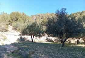 Foto 14