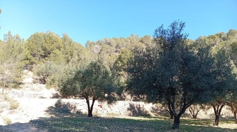 Alicante - Onil - 60598m2